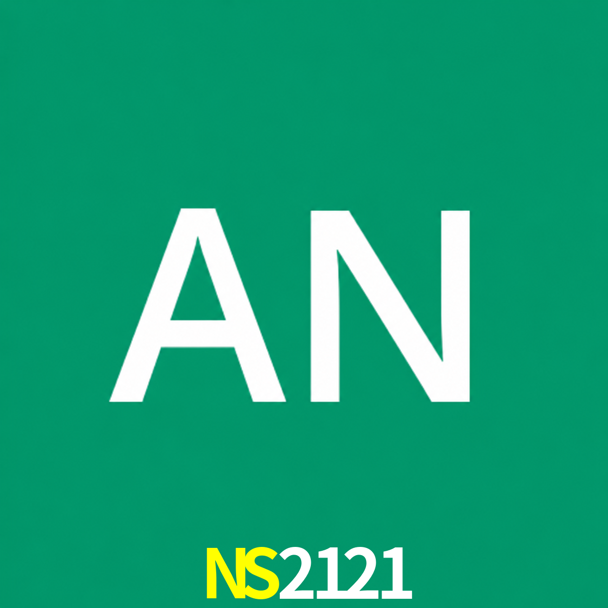 Adi Nugroho - Founder & CEO NS2121 Indonesia